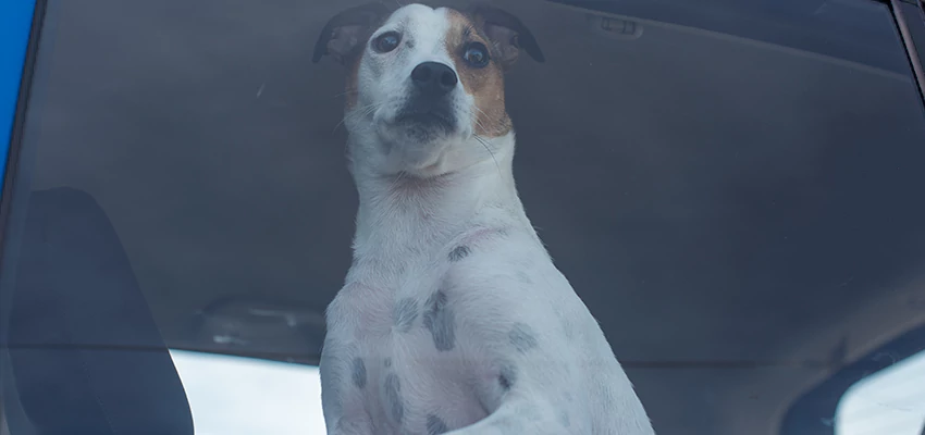 Car Lockout Solutions in Rubidoux, California